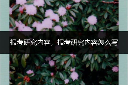 报考研究内容，报考研究内容怎么写