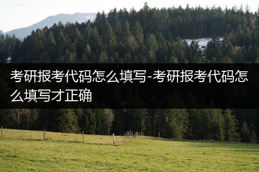 考研报考代码怎么填写-考研报考代码怎么填写才正确