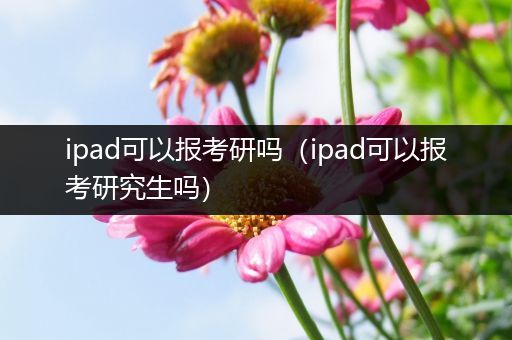 ipad可以报考研吗（ipad可以报考研究生吗）