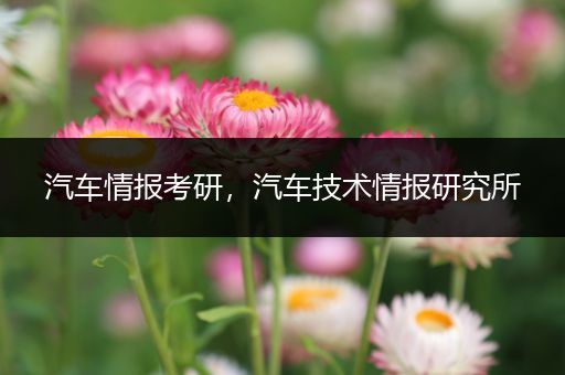 汽车情报考研，汽车技术情报研究所