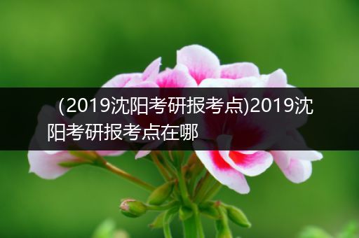 （2019沈阳考研报考点)2019沈阳考研报考点在哪