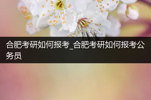 合肥考研如何报考_合肥考研如何报考公务员