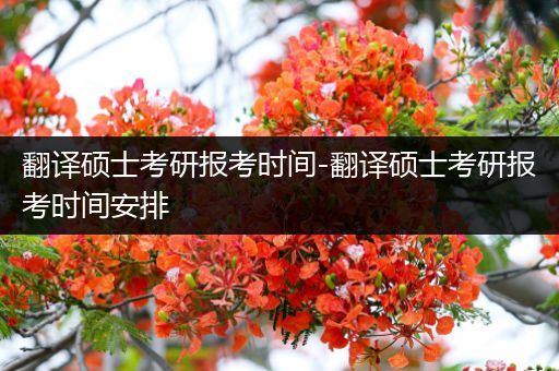 翻译硕士考研报考时间-翻译硕士考研报考时间安排