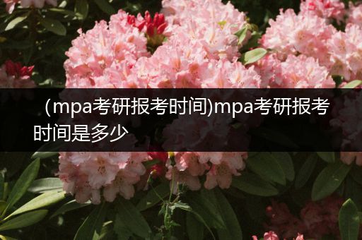 （mpa考研报考时间)mpa考研报考时间是多少