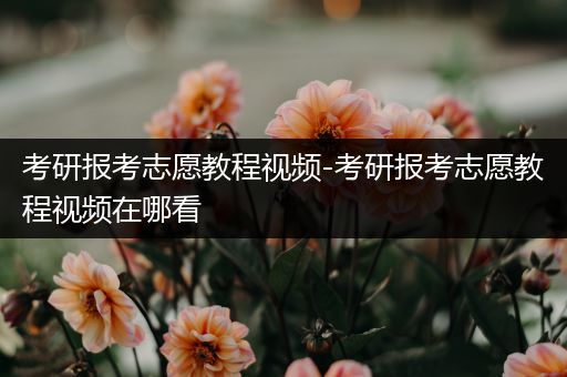 考研报考志愿教程视频-考研报考志愿教程视频在哪看