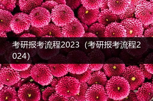 考研报考流程2023（考研报考流程2024）