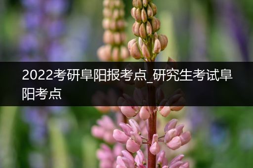 2022考研阜阳报考点_研究生考试阜阳考点