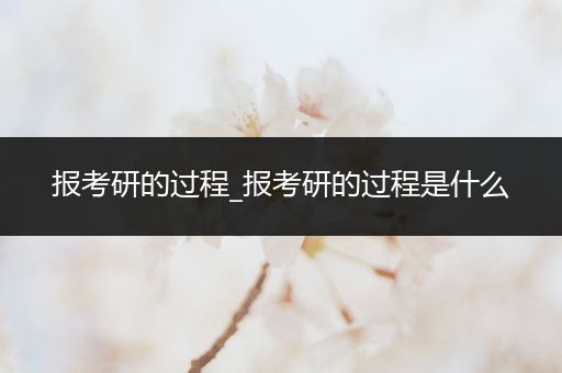 报考研的过程_报考研的过程是什么