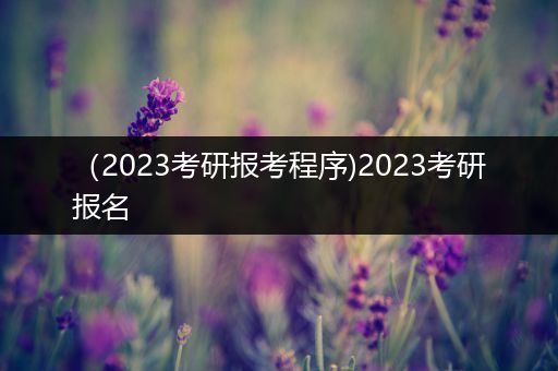 （2023考研报考程序)2023考研报名