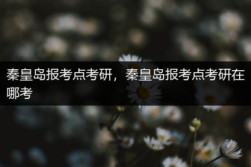 秦皇岛报考点考研，秦皇岛报考点考研在哪考