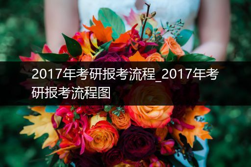 2017年考研报考流程_2017年考研报考流程图