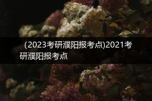 （2023考研濮阳报考点)2021考研濮阳报考点