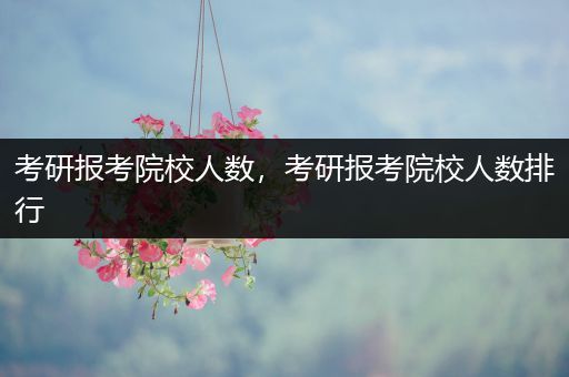 考研报考院校人数，考研报考院校人数排行