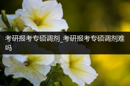 考研报考专硕调剂_考研报考专硕调剂难吗