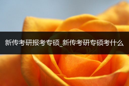 新传考研报考专硕_新传考研专硕考什么