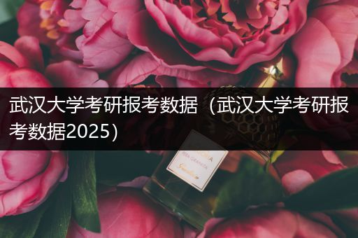 武汉大学考研报考数据（武汉大学考研报考数据2025）