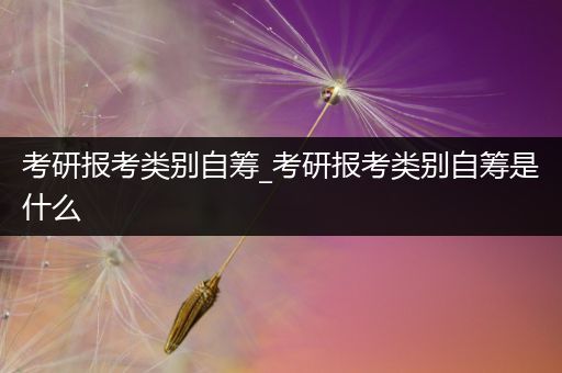 考研报考类别自筹_考研报考类别自筹是什么