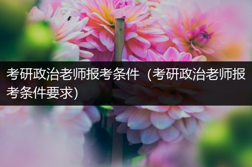 考研政治老师报考条件（考研政治老师报考条件要求）