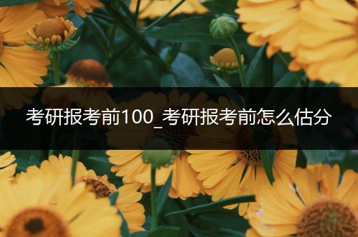 考研报考前100_考研报考前怎么估分