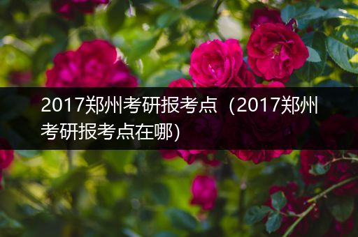 2017郑州考研报考点（2017郑州考研报考点在哪）