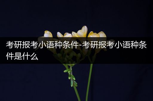 考研报考小语种条件-考研报考小语种条件是什么