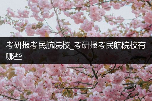 考研报考民航院校_考研报考民航院校有哪些