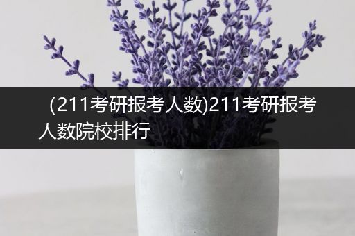 （211考研报考人数)211考研报考人数院校排行