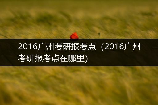 2016广州考研报考点（2016广州考研报考点在哪里）