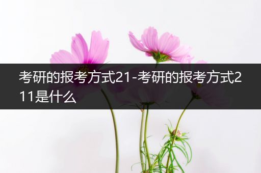 考研的报考方式21-考研的报考方式211是什么