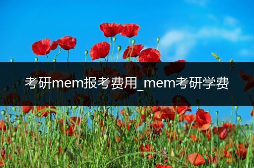 考研mem报考费用_mem考研学费