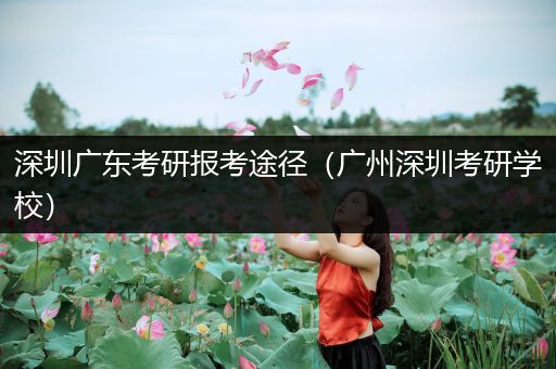 深圳广东考研报考途径（广州深圳考研学校）