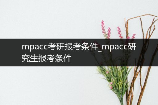 mpacc考研报考条件_mpacc研究生报考条件