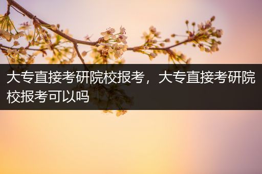 大专直接考研院校报考，大专直接考研院校报考可以吗