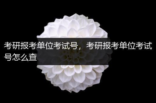 考研报考单位考试号，考研报考单位考试号怎么查