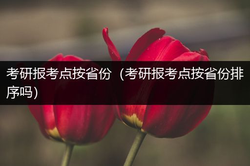 考研报考点按省份（考研报考点按省份排序吗）