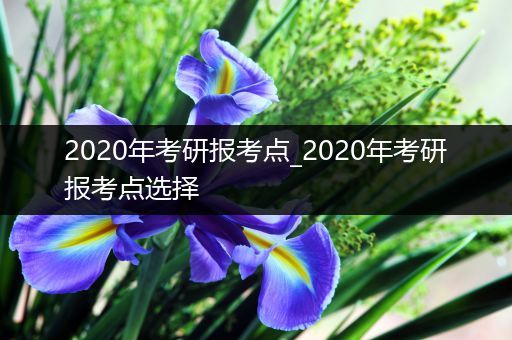 2020年考研报考点_2020年考研报考点选择