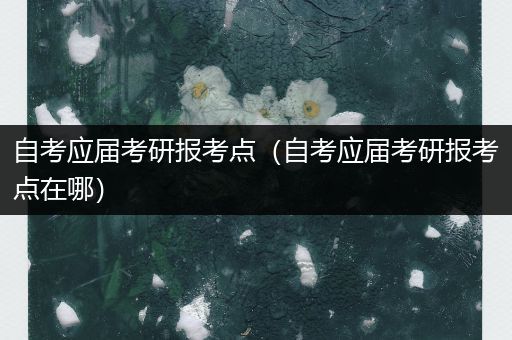 自考应届考研报考点（自考应届考研报考点在哪）