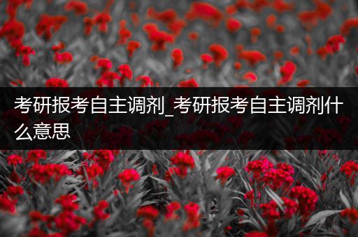 考研报考自主调剂_考研报考自主调剂什么意思