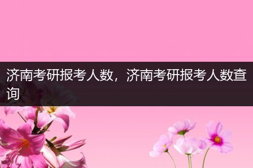 济南考研报考人数，济南考研报考人数查询