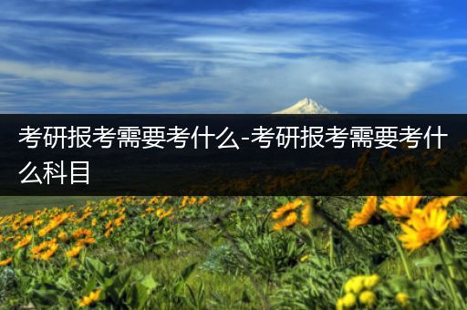 考研报考需要考什么-考研报考需要考什么科目