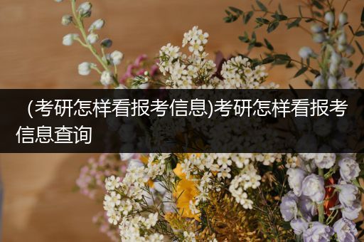 （考研怎样看报考信息)考研怎样看报考信息查询