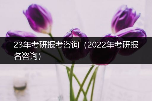 23年考研报考咨询（2022年考研报名咨询）