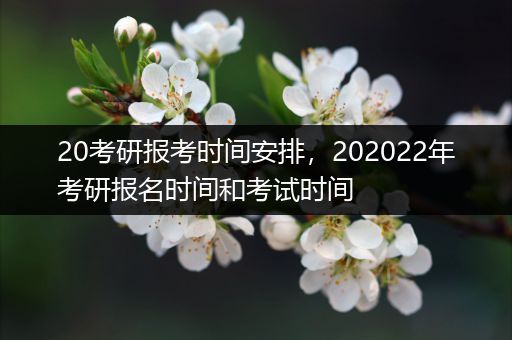 20考研报考时间安排，202022年考研报名时间和考试时间