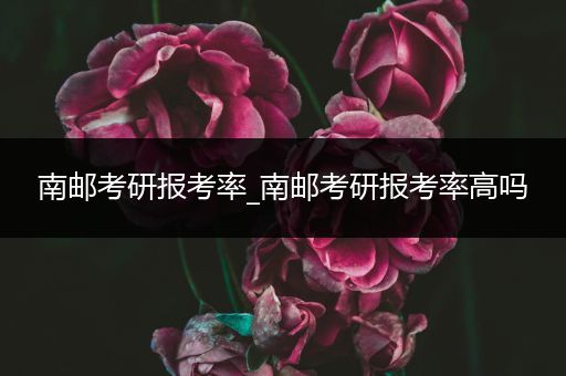 南邮考研报考率_南邮考研报考率高吗