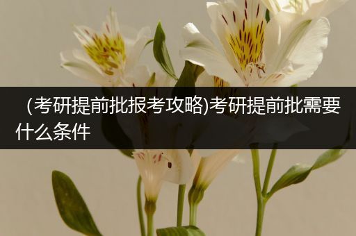 （考研提前批报考攻略)考研提前批需要什么条件