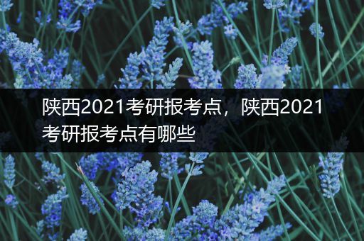 陕西2021考研报考点，陕西2021考研报考点有哪些