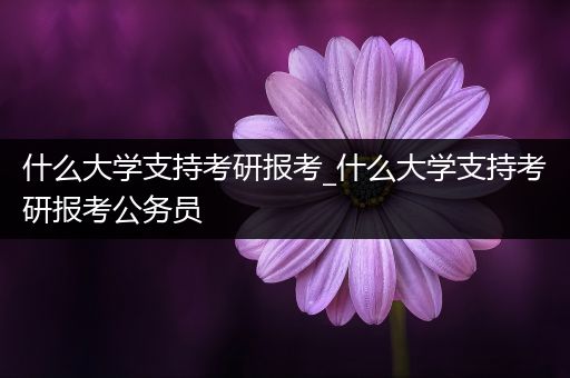 什么大学支持考研报考_什么大学支持考研报考公务员