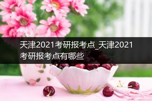 天津2021考研报考点_天津2021考研报考点有哪些