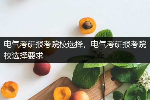 电气考研报考院校选择，电气考研报考院校选择要求