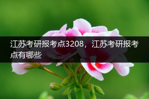 江苏考研报考点3208，江苏考研报考点有哪些